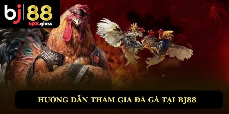 Cách chơi gà đá trên mạng tại nhà cái Bj88