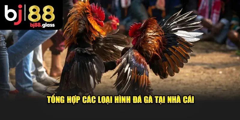 Các loại kèo trong đá gà online