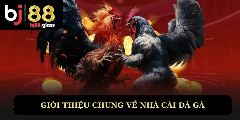 Giới thiệu chung về nhà cái đá gà