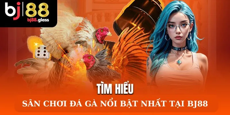 Sảnh đá gà nổi bật nhất tại Bj88