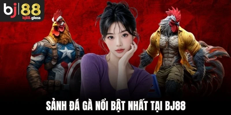 Sảnh đá gà nổi bật nhất tại Bj88
